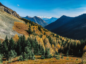 Autumn Landscape 1 – Sunny @mesmerize