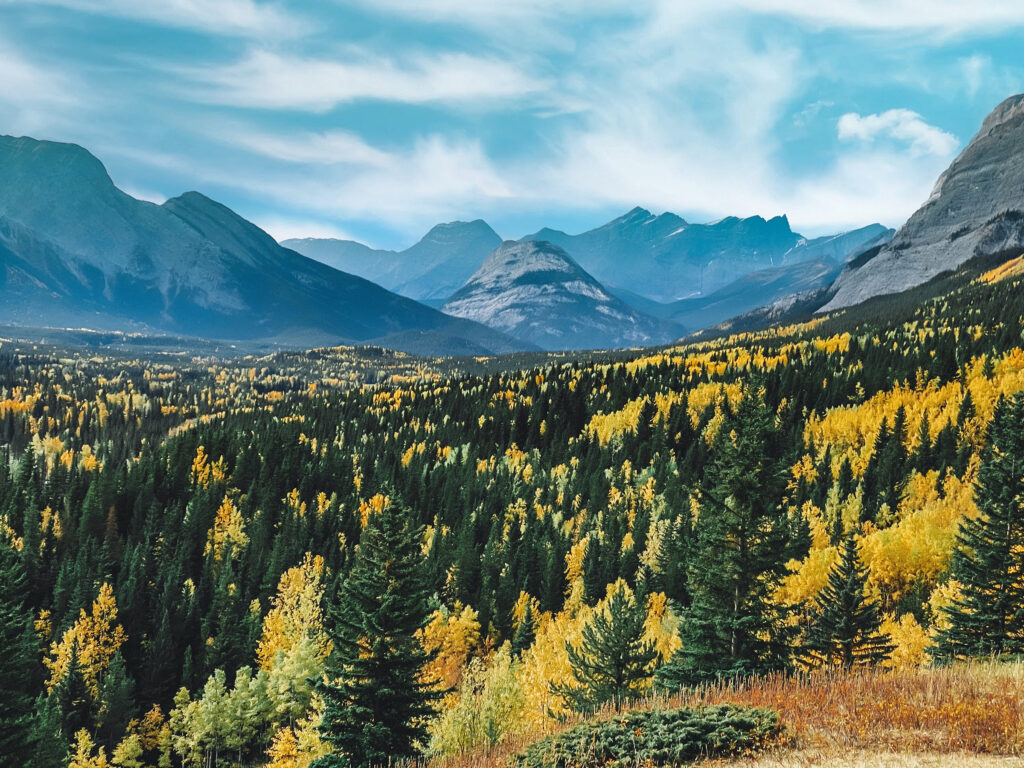 Autumn Landscape – Sunny @mesmerize
