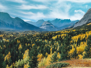 Autumn Landscape – Sunny @mesmerize