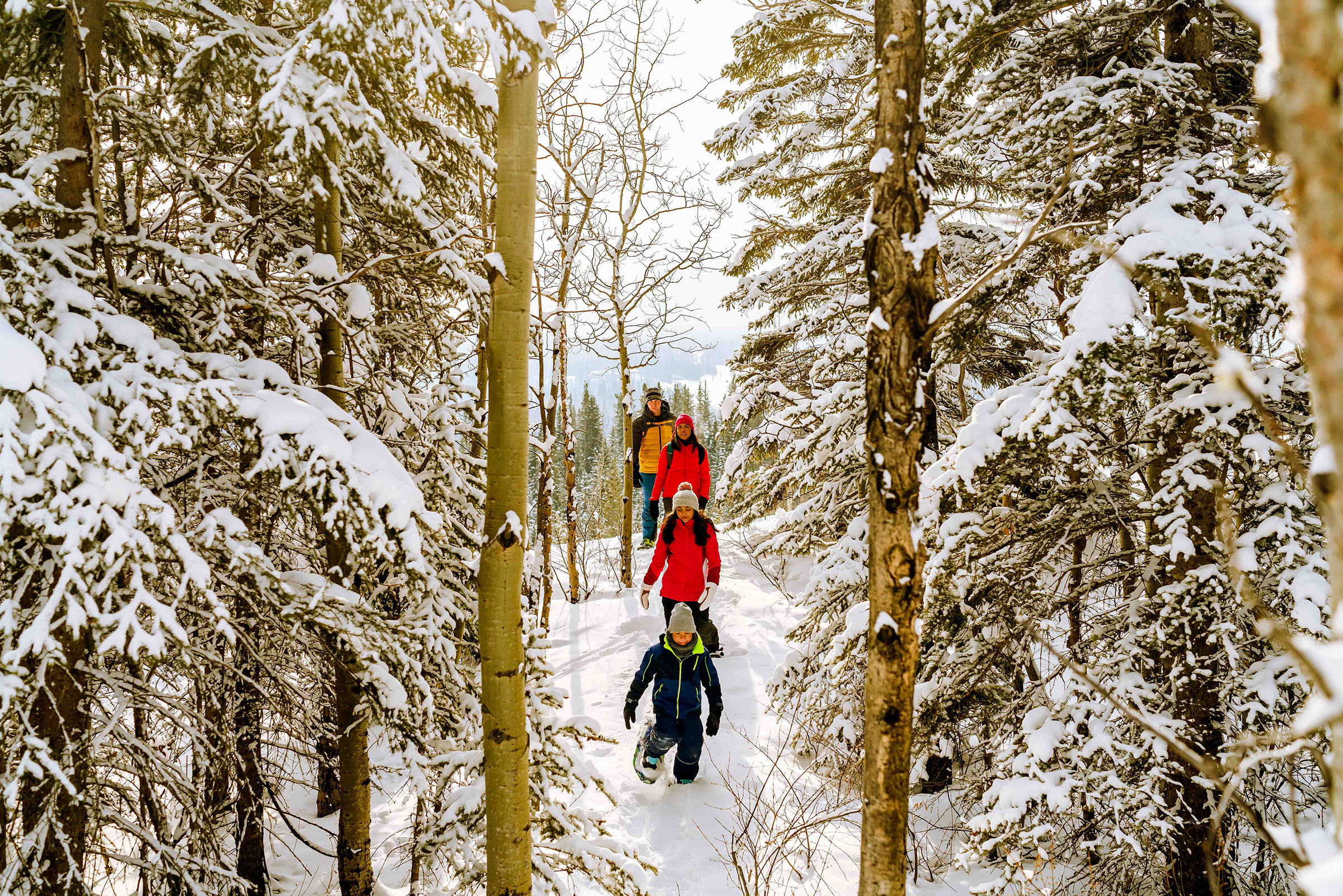Family Snowshoe – Kananaskis Outfitters Karl Lee
