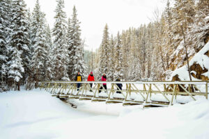 Family Walk – Kananaskis Outfitters Karl Lee
