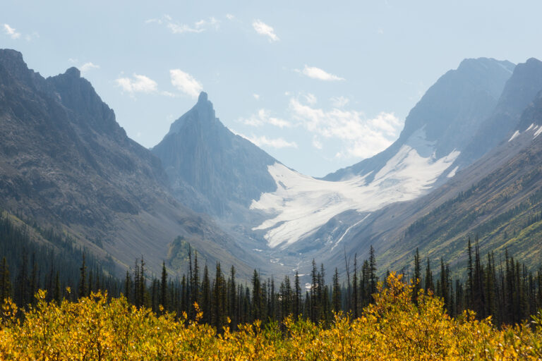 Glacier view at Burstall Pass Trail in Kananaskis.