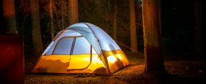A tent sits in the woods of Kananaskis at nighttime, lit up from the inside by flashlights.