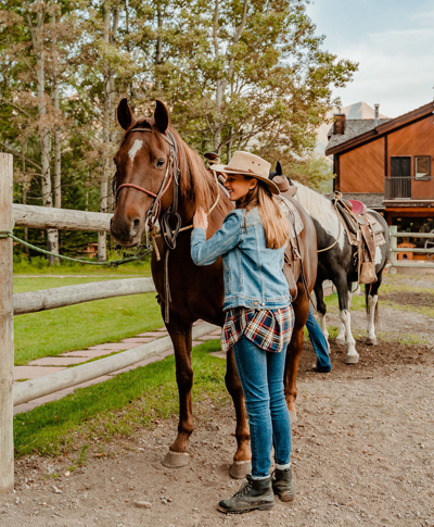 Horseback Trail riding