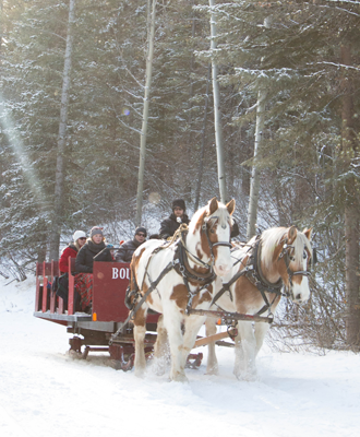 sleigh rides