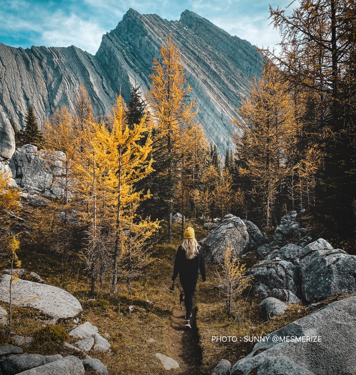Kananaskis in the fall